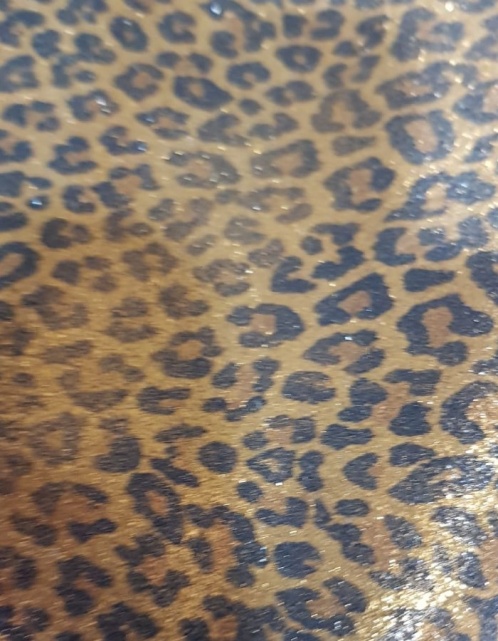 leopardo_700x900_1969863087